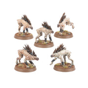 Warhammer 40000 Tau Empire Kroot Hounds