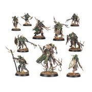 Warhammer Age of Sigmar Warcry Rotmire Creed