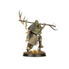 Warhammer Age of Sigmar Warcry Rotmire Creed