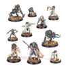 Warhammer Age of Sigmar Warcry Royal Beastflayers Warband