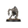 Warhammer Age of Sigmar Warcry Royal Beastflayers Warband