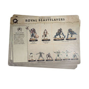 Warhammer Age of Sigmar Warcry Royal Beastflayers Warband