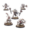 Warhammer Age of Sigmar Warcry Gorger Mawpack