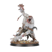 Warhammer Age of Sigmar Warcry Gorger Mawpack