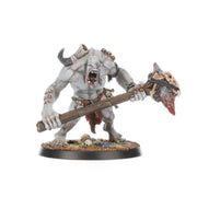 Warhammer Age of Sigmar Warcry Gorger Mawpack