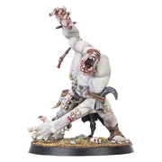 Warhammer Age of Sigmar Warcry Gorger Mawpack