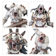 Warhammer Age of Sigmar Warcry Gorger Mawpack