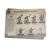 Warhammer Age of Sigmar Warcry Questor Soulsworn Warband