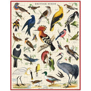 Cavallini British Birds 1000pc Jigsaw Puzzle