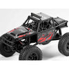 FMS 1/24 FCX24 Lemur RTR Red FMS12404RTRRD