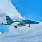 FMS F/A-18 Hornet 64mm EDF RC Jet (Plug-n-play) 151P