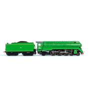 Gopher Models N Scale C38 Class Locomotive NSWGR 3805 Streamliner (Green)