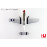 Hobbymaster 7750 1/48 P-51D Mustang 335 FS/4 FG Captain Ted Lines