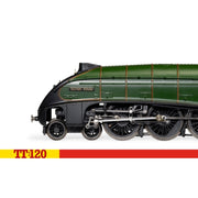 Hornby TT3008M TT BR Class A4 4-6-2 60016 Silver King Digital Locomotive