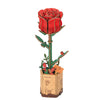 Robotime Wood Bloom Red Rose Flower