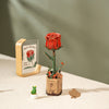 Robotime Wood Bloom Red Rose Flower