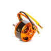 Spektrum SPMXAM4675 Avian 4240-1000Kv .25 Equivalent Brushless Outrunner Motor