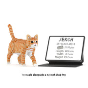 Jekca ST19CA03-M01B Cat