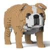 Jekca English Bulldog 4 in 1 Pack 01-M03