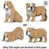 Jekca English Bulldog 4 in 1 Pack 01-M03