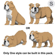 Jekca English Bulldog 4 in 1 Pack 01-M03