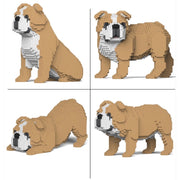 Jekca English Bulldog 4 in 1 Pack 01-M03