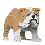 Jekca ST19PT17-M03 English Bulldog 01S-M03