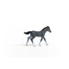 Schleich 13944 Trakehner Foal