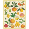 Cavallini Citrus 1000pc Jigsaw Puzzle