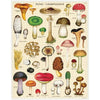 Cavallini Mushrooms 1000pc Jigsaw Puzzle