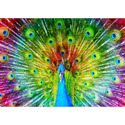 Enjoy 1251 Colorful Peacock 1000pc Jigsaw Puzzle