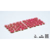 Gamers Grass GGF-PI Pink Flowers Wild Tufts