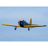 Hanger 9 PT-19 RC Plane (Plug-n-play) HAN3180