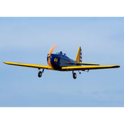 Hanger 9 PT-19 RC Plane (Plug-n-play) HAN3180