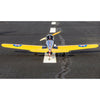 Hanger 9 PT-19 RC Plane (Plug-n-play) HAN3180