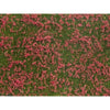 Noch N07257 Groundcover Foliage Meadow Red