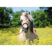 Ravensburger 15038-0 White Horse 500pc Jigsaw Puzzle