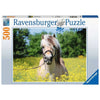 Ravensburger RB15038-0 White Horse 500pc Jigsaw Puzzle