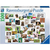 Ravensburger 16711-1 Funny Animals 1500pc Jigsaw Puzzle