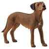 Schleich 13895 Rhodesian Ridgeback