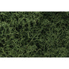 Woodland Scenics L163 Medium Green Lichen